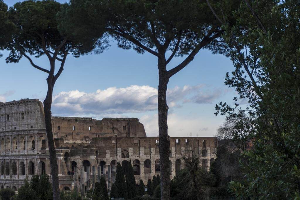 El Coliseo desde el Palatino.